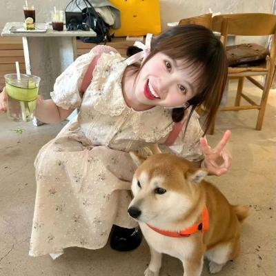 家族的故事